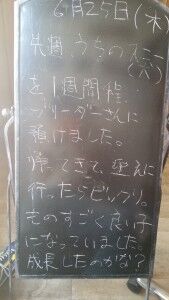 20150625_105008